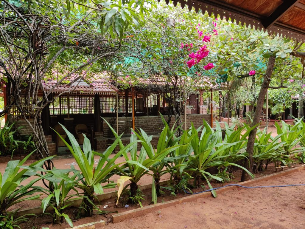 WhatsApp Image 2025-06-09 at 12.33.45 PM (1)