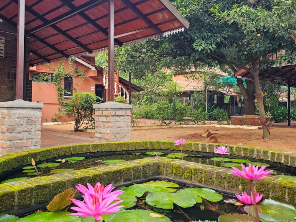 WhatsApp Image 2025-06-09 at 12.40.35 PM (2)